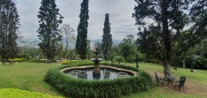 A peaceful garden with a circular fountain, surrounded by manicured grass, cypress trees, and lush tropical plants.
