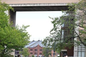Yokohama Red Brick Warehouse can be seen through the gap between the buildings with big trees on either side.
Photo walk at the Yokohama WordPress meetup.