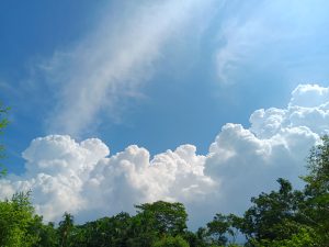 A bright blue sky filled with large, fluffy white clouds rising dramatically, contrasting against the vivid background.