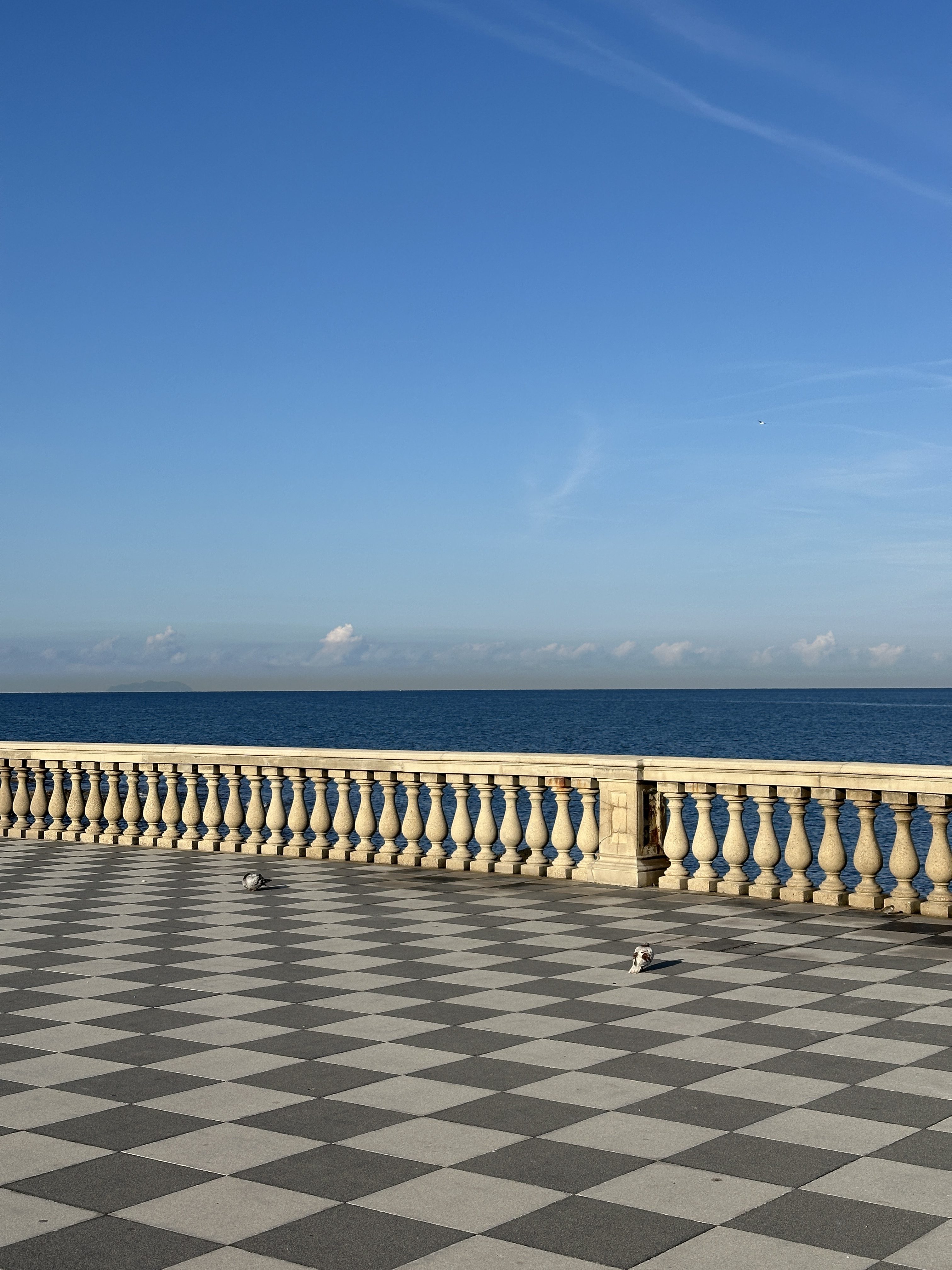 A black-and-white checkered floor in the front, the sea in the back, with two pigeons on the tiles.