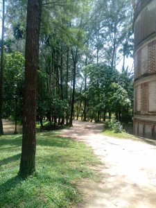 A serene forest scene with tall trees on a sunny day. A dirt path curves through lush greenery, while a weathered brick structure stands to the right.