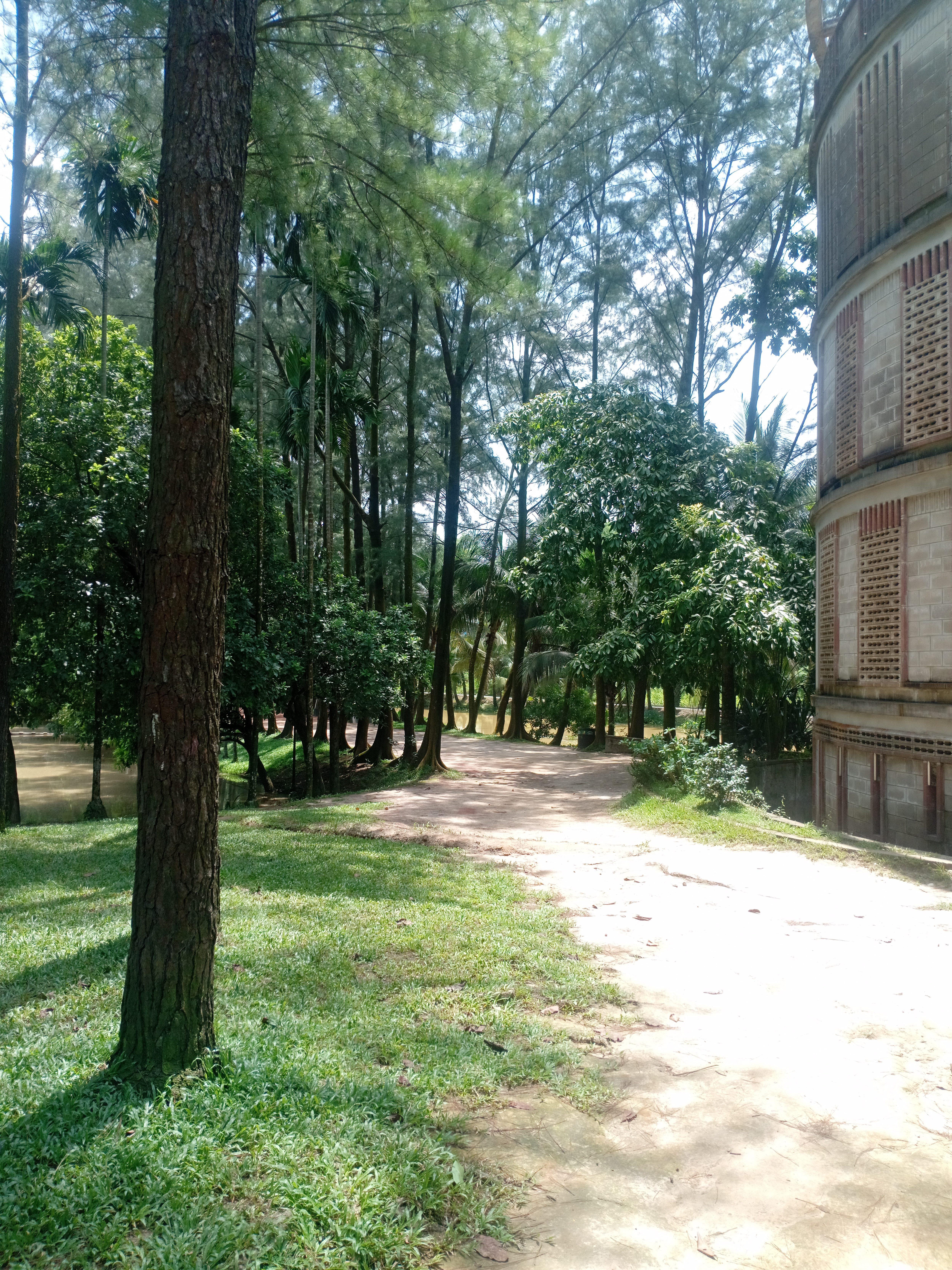 A serene forest scene with tall trees on a sunny day. A dirt path curves through lush greenery, while a weathered brick structure stands to the right.