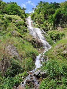 A cascading waterfall flows down a rocky hillside, surrounded by lush green foliage and dense vegetation with clear view of blue sky.