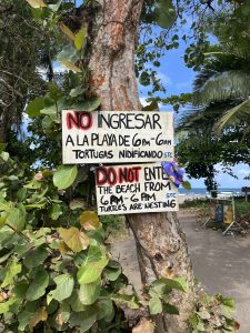 A wooden sign on a tree in Limon, Costa Rica, warns not to enter the beach at night as Baula turtles nest nearby.