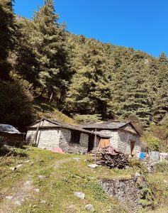 A rustic stone house nestled in a lush green landscape, surrounded by tall pine trees under a clear blue sky.
