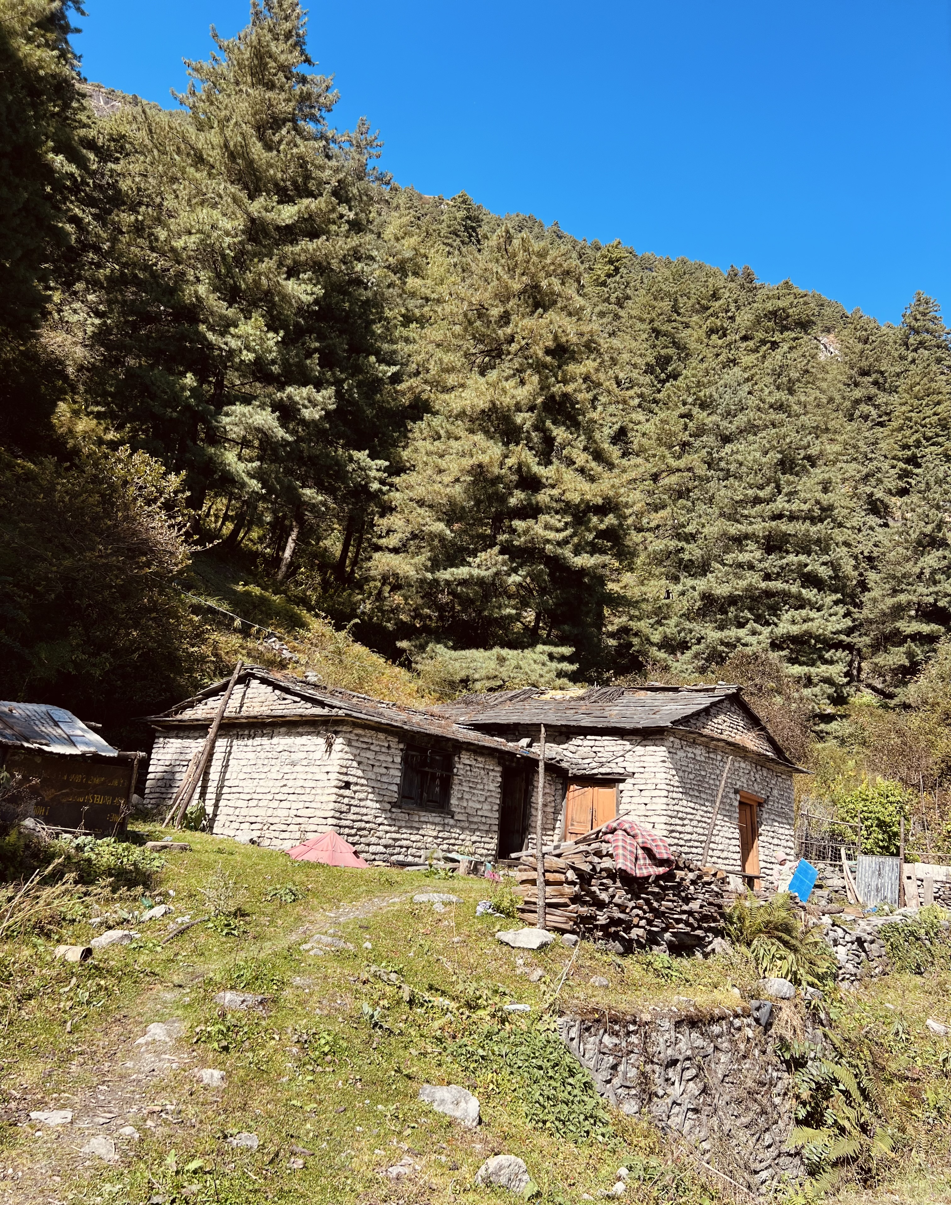 A rustic stone house nestled in a lush green landscape, surrounded by tall pine trees under a clear blue sky.