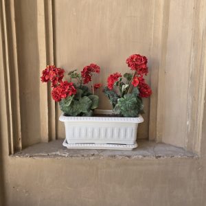 A white planter filled with vibrant red flowers and lush green leaves in decorative fashion is displayed against a textured beige wall.