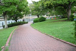 A winding brick pathway in a green park lined with trees and bushes, leading toward a waterway with a fence.