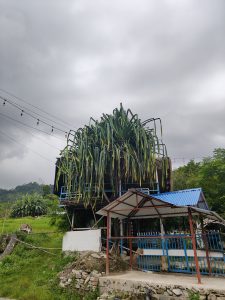 

A metal stilted structure with a green rooftop garden, a blue-roofed shelter, and a gated entrance, set in grassy fields under an overcast sky with hanging lights.