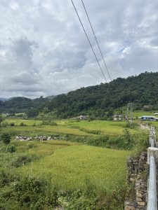 Lush green rice fields under a cloudy sky, bordered by rolling hills with houses, a road, and electricity poles in the background.