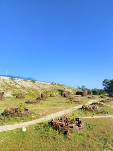 An image of cemented bricks structured in a circle around the plants to protect plants. The view of a clear blue sky is seen.