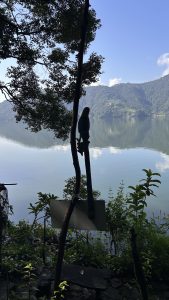 A peaceful lake reflects mountains and trees, with an artificial bird on a branch and a hidden sign in the foreground.