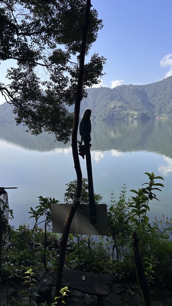 A peaceful lake reflects mountains and trees, with an artificial bird on a branch and a hidden sign in the foreground.