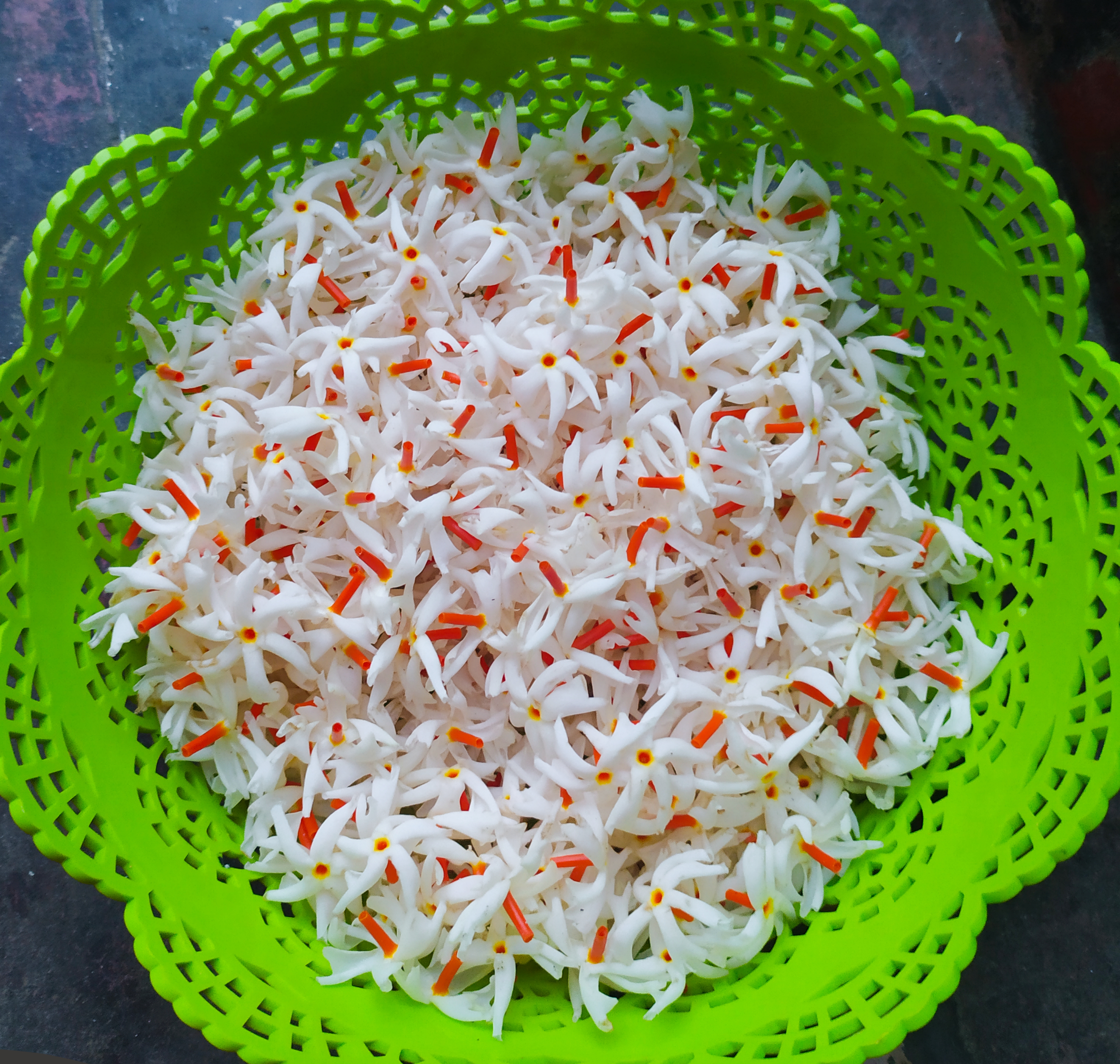 A picture of white flowers with orange stems collected in a green basket placed on a table.