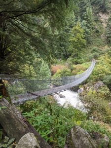 A suspension bridge stretches across a rocky river, surrounded by lush greenery and trees. 