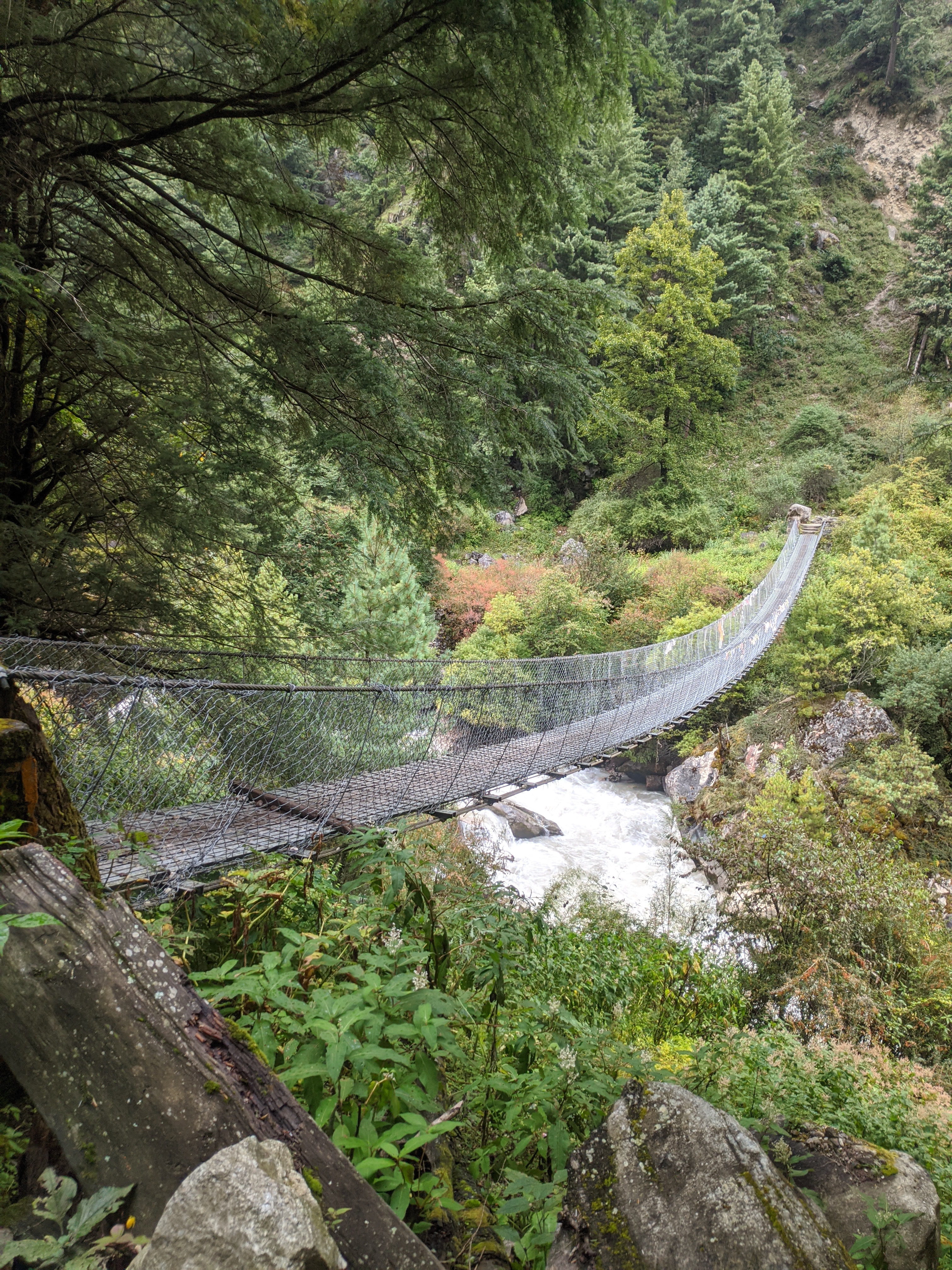 A suspension bridge stretches across a rocky river, surrounded by lush greenery and trees. 