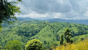 Scenic view of the lush green hills of Bandarban under a cloudy sky, with layers of forested mountains stretching into the distance.