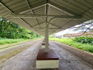 A symmetrical view down the abandoned platform of Cochin Harbour Terminus in Kochi, Kerala. The metal roof and benches line the platform, now overtaken by surrounding vegetation 