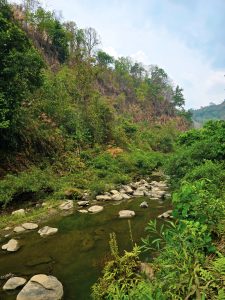 A serene stream flows gently through the lush green hills near Debotakhum in Bandarban, Bangladesh. Smooth rocks line the shallow water, while the surrounding forested slopes and scattered trees create a peaceful, untouched natural landscape under a partly cloudy sky