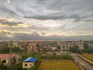 A tranquil suburban landscape at sunset with neatly arranged houses, golden rice fields, greenery, and power lines under a softly colored, partly cloudy sky.