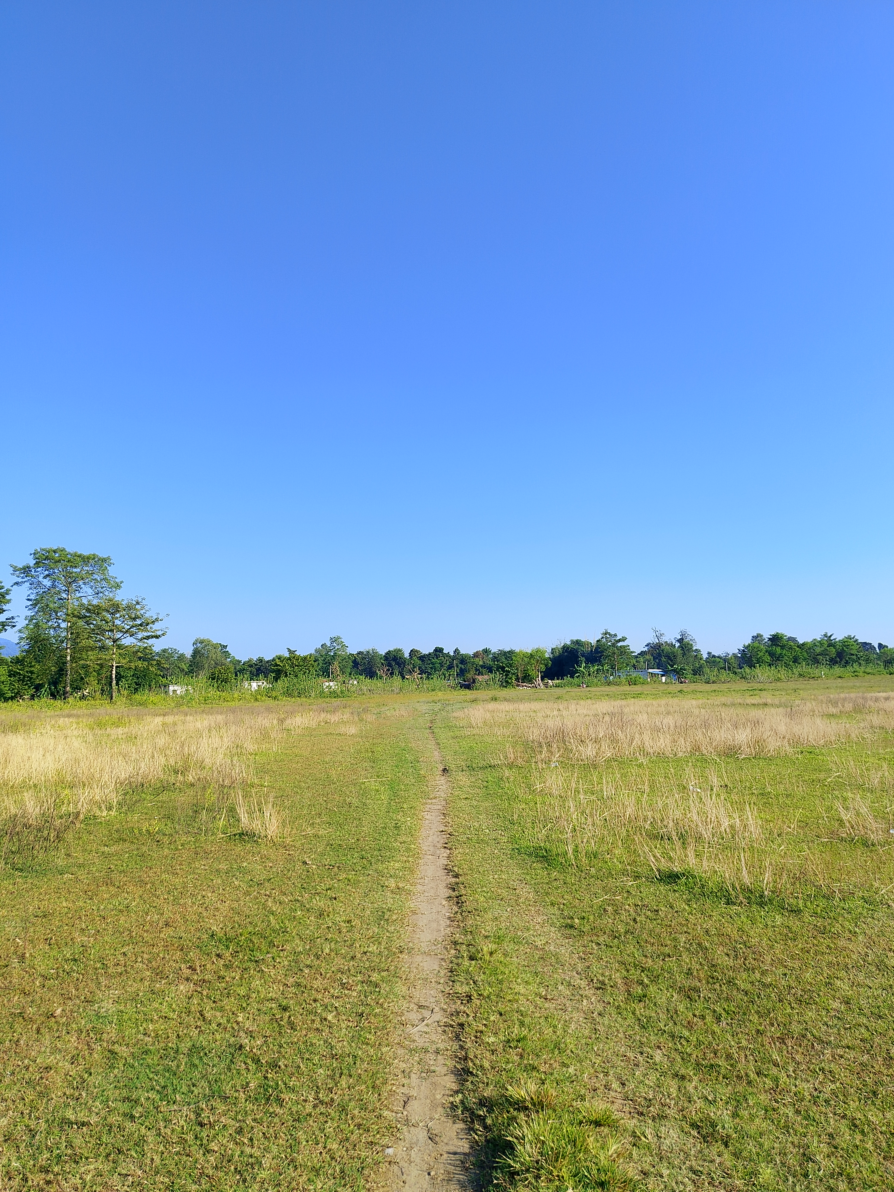 A narrow dirt path winds through a grassy field under a clear blue sky.