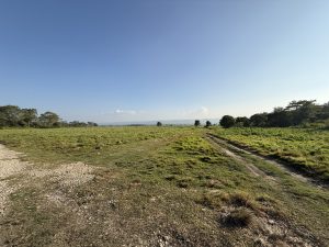 A wide-open landscape featuring a grassy field under a clear blue sky.
