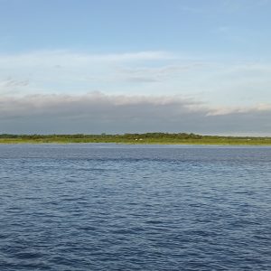 A sceneric view of a lake with green trees and cloudy sky.