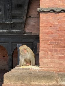 A monkey sitting on a stone ledge, next to a brick wall with intricate black wooden carvings
