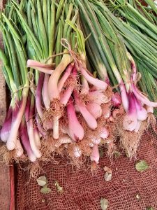 Close-up of spring onions with green leaves and purple-white bulbs arranged for sale at a market in Asalpha, Mumbai, Maharashtra.