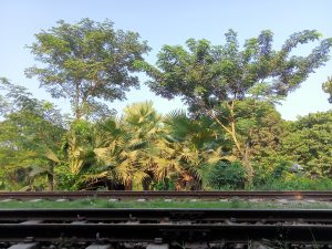 Rail track in Brahmanbaria District, Bangladesh