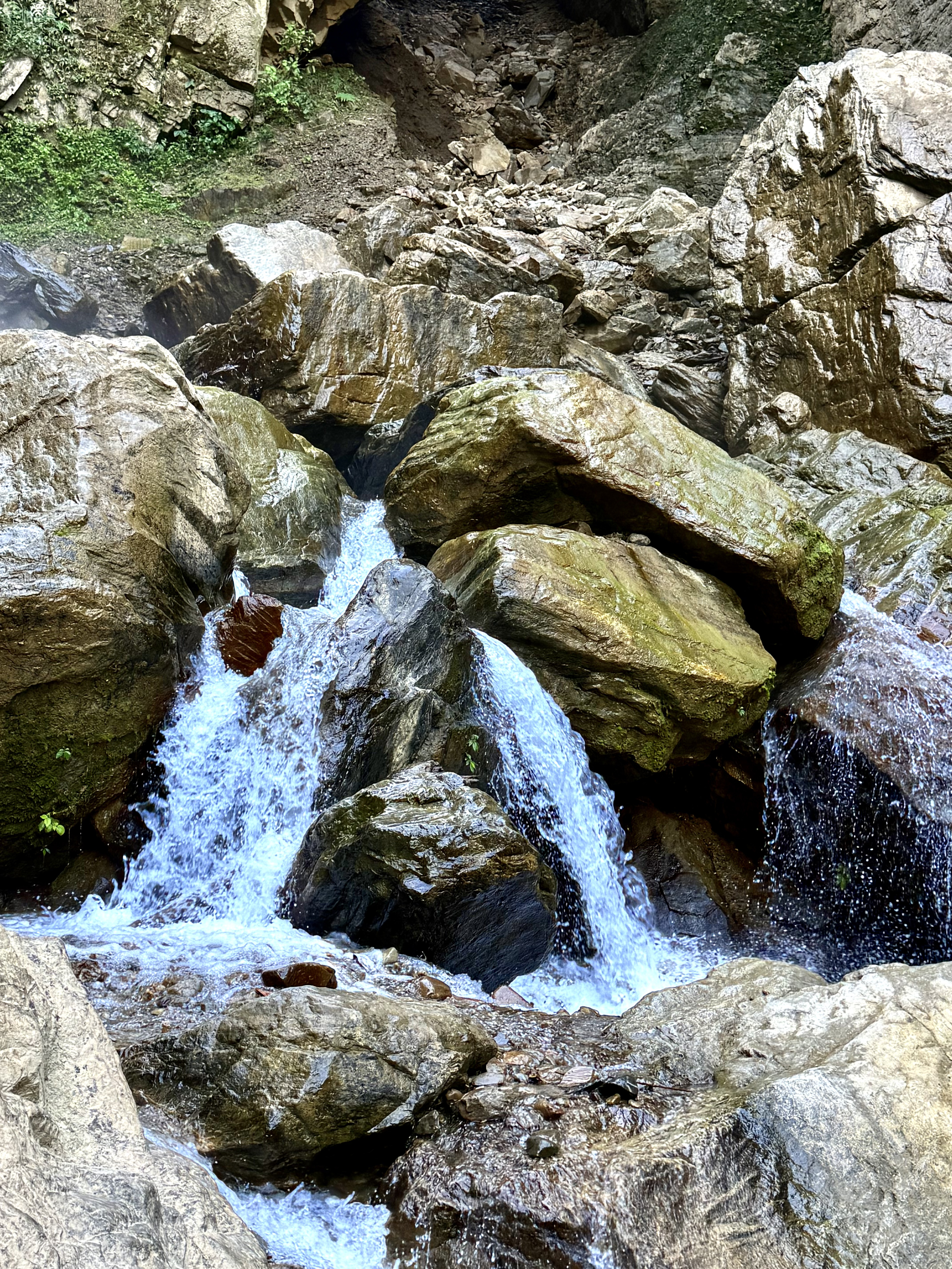 

A stream flows over large mossy rocks in a peaceful natural setting.