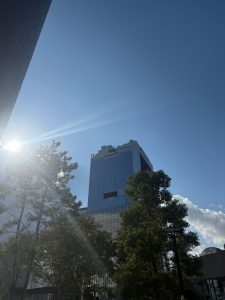 A view of a tall building with sunshine and light reflection from a tall tree, Osaka Umeda, Japan.
