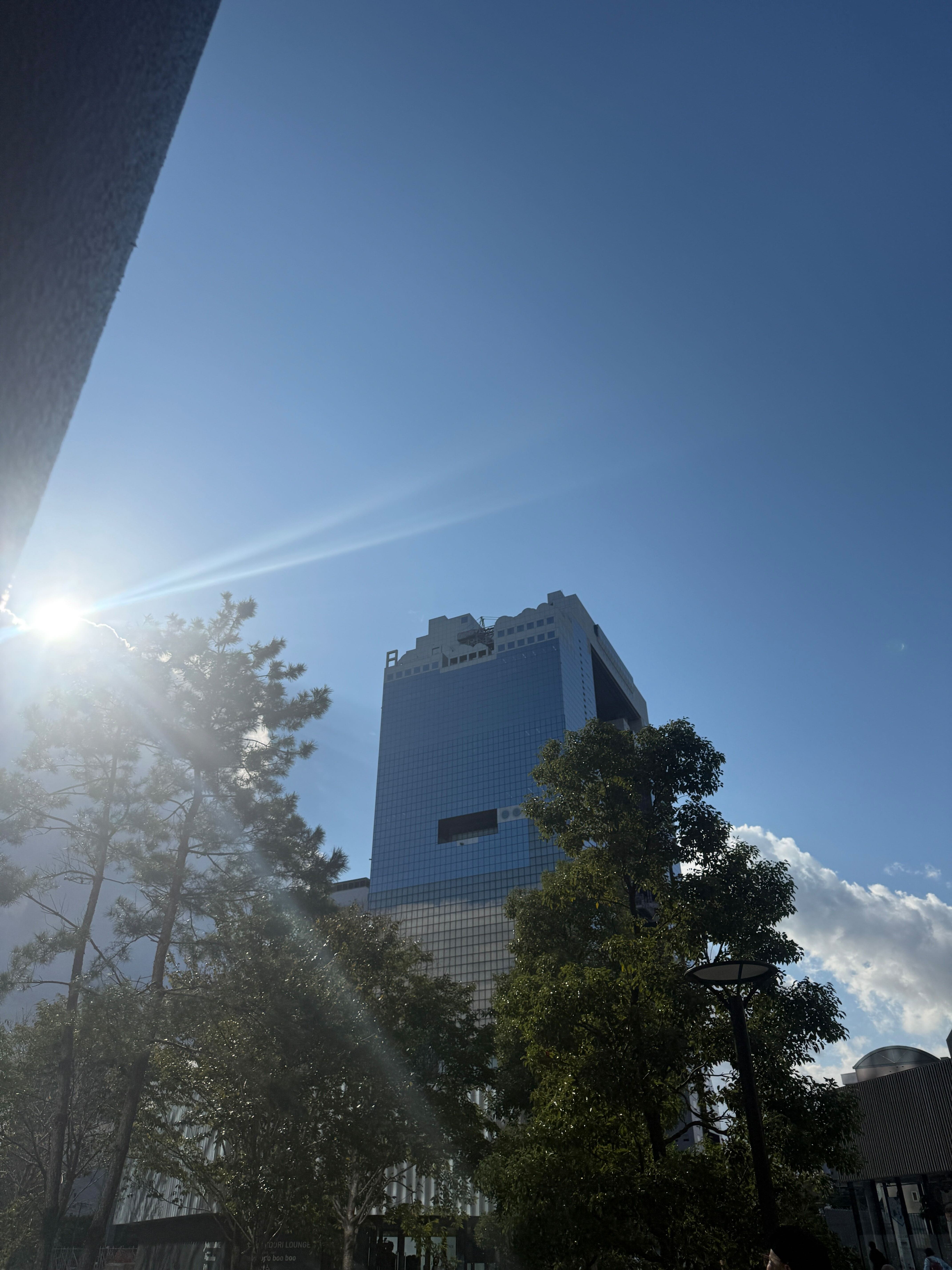 A view of a tall building with sunshine and light reflection from a tall tree, Osaka Umeda, Japan.