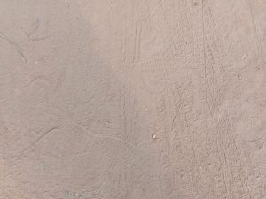 A close-up view of a sandy surface displaying various patterns and textures, including tire treads and possible footprints.