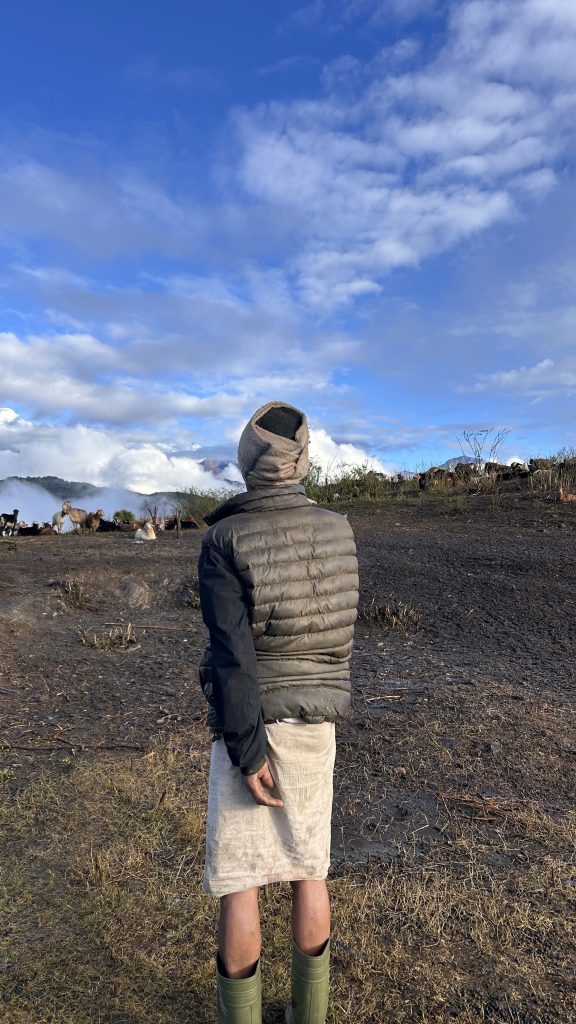 A person stands on a grassy patch, facing away from the camera and facing towards a view of clouds on green hills and some pet goats, wearing a puffy gray jacket, green boots and a white skirt.
