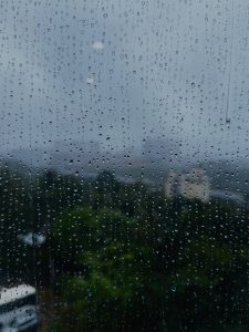 A close-up window with water droplets, blurring the greenery and buildings outside.