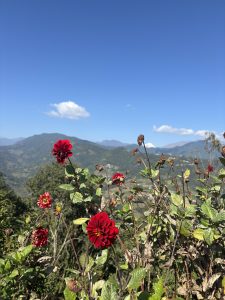 A vibrant red flower blooms amidst green foliage, set against a backdrop of distant mountains and a clear blue sky dotted with a few white clouds. 