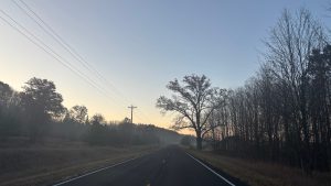 A blacktop road going into the distance. The sky is dimly lit by the morning sun.  A large tree stands next to the road in the distance, and mist is over the road.
