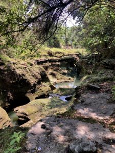 A rocky creek surrounded by lush greenery, featuring a narrow waterway flowing through the uneven terrain