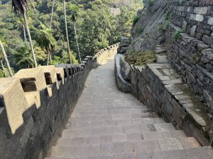 A stone pathway with stairs leads downwards alongside a stone wall, surrounded by greenery and trees.