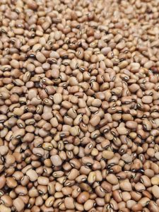 A heap of brown cowpeas is seen in a hypermarket in Kozhikode. The smooth grains, with a mix of light and dark browns, highlight this common Kerala pantry ingredient.