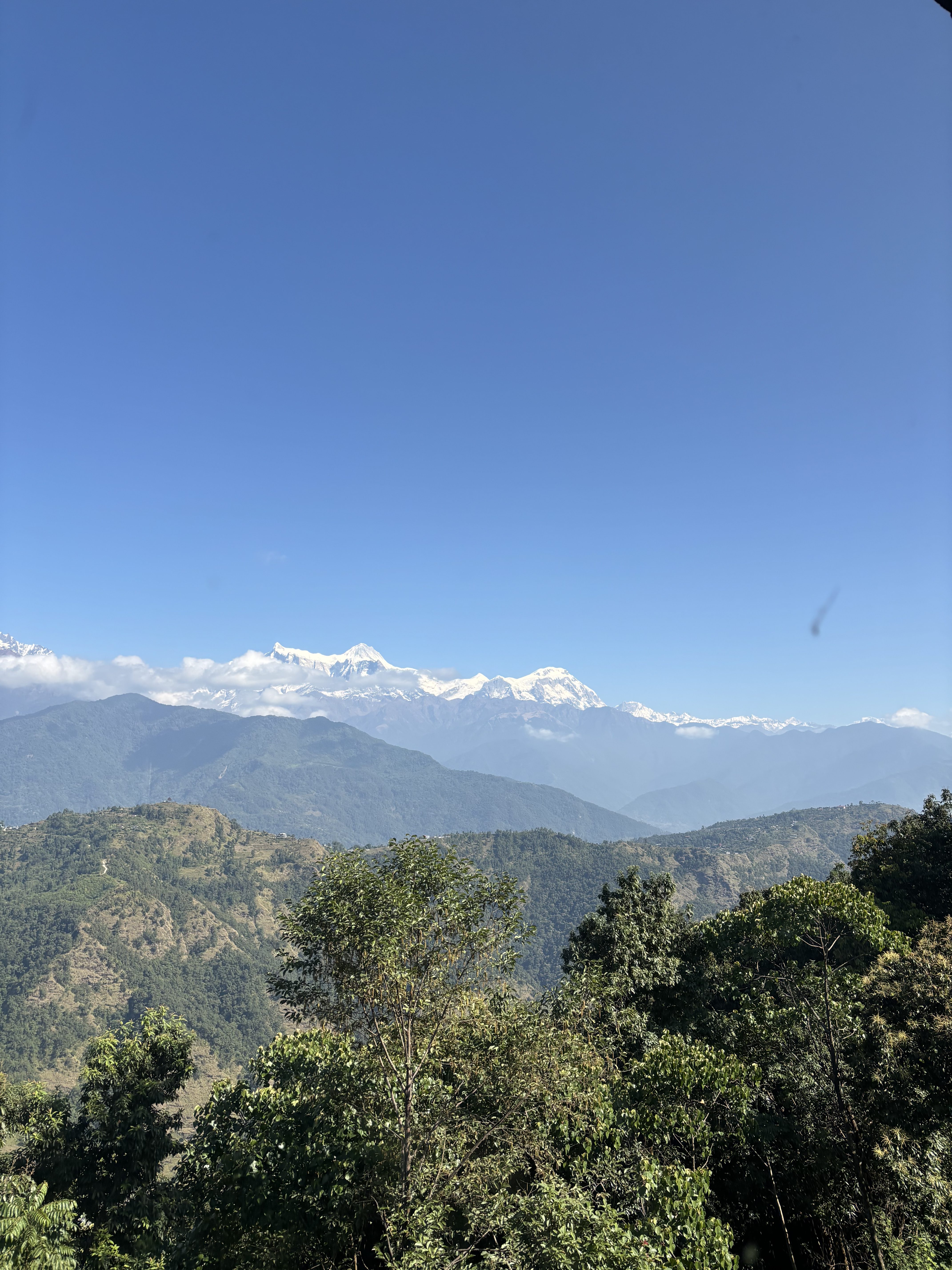 A panoramic view of majestic snow-capped mountains against a clear blue sky, surrounded by rolling hills and dense greenery in the foreground. 