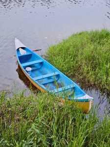 A blue and yellow canoe (fiber boat) rests partly in the water near a grassy lake bank. The calm water and lush green grass create a peaceful scene. Photographed in Cherupa, Kozhikode, Kerala.