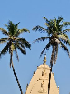 A temple dome with gold details stands between two tall coconut trees under a bright blue sky. This peaceful scene was photographed in Mumbai, Maharashtra. 