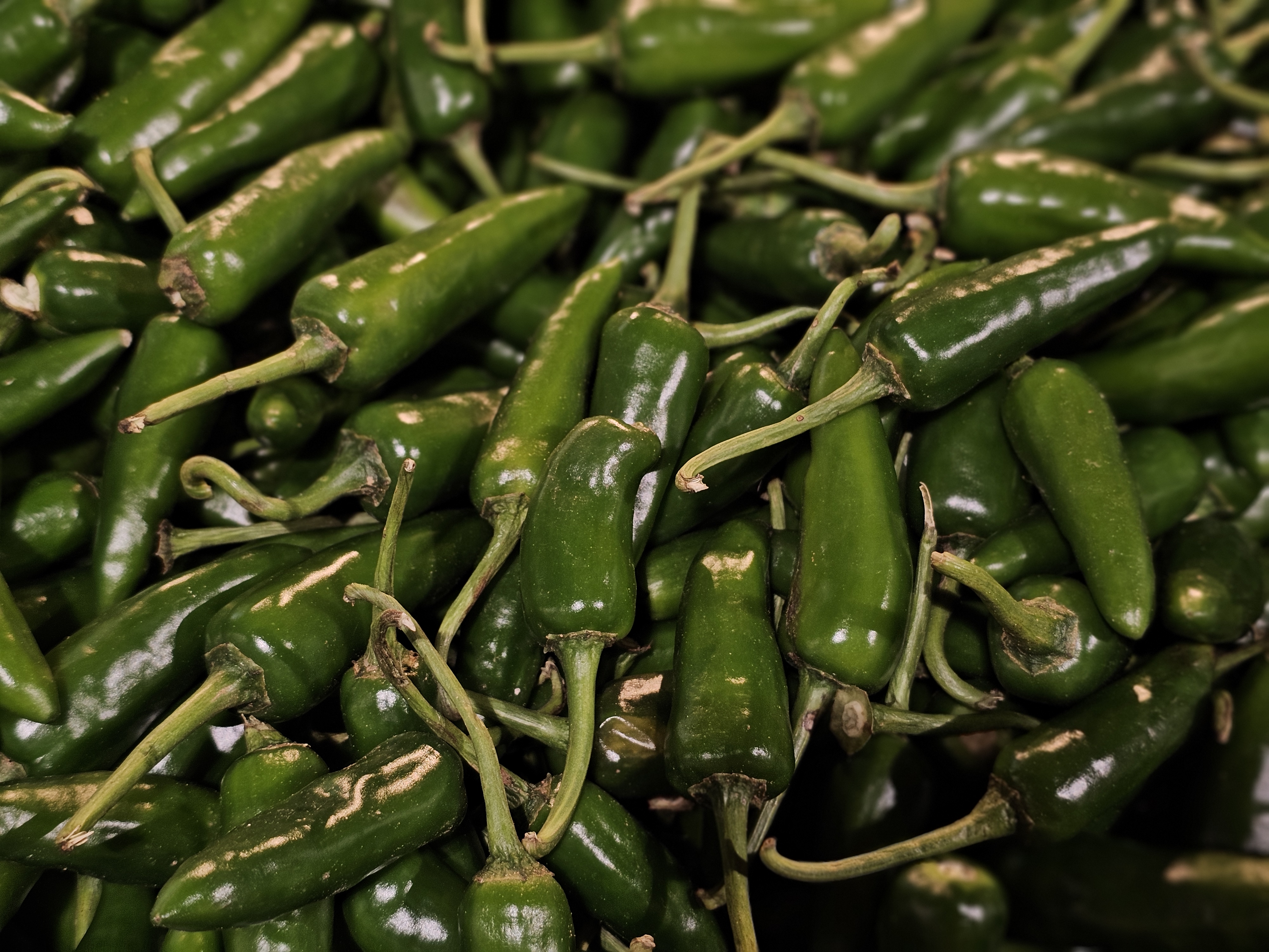 A heap of fresh green chilies is displayed together, their glossy texture and curved shapes highlighting their natural appearance. The photo was captured at a market in Kozhikode, Kerala.