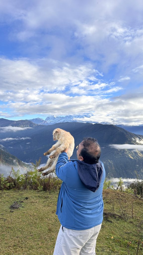 A man in a blue jacket holds up a golden retriever goat against a backdrop of green mountains and a cloudy blue sky.