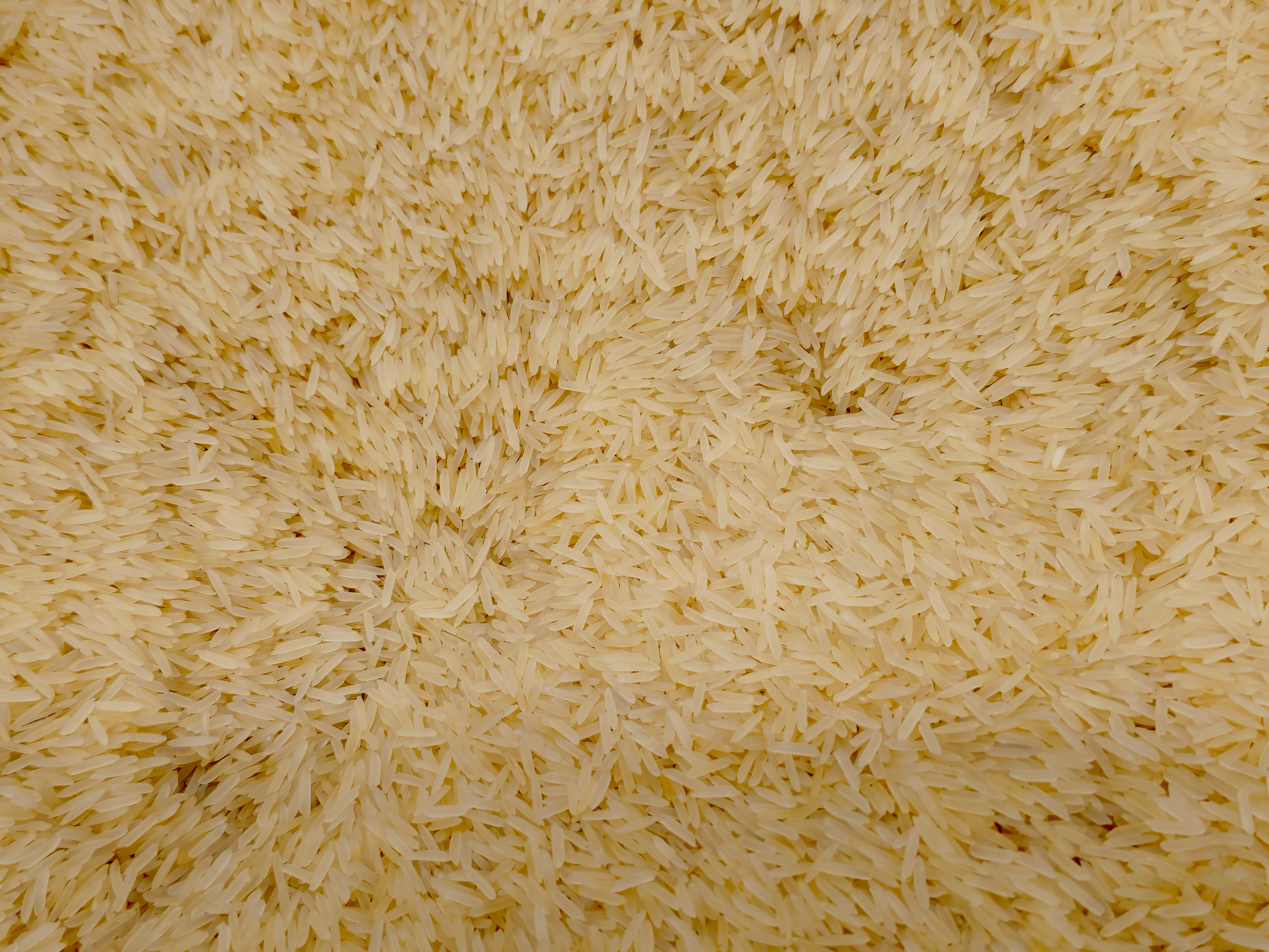 Long grain basmati rice is displayed in bulk at a hypermarket in Kozhikode. The light yellow grains show the natural colour after processing, ready for biryani and daily meals.