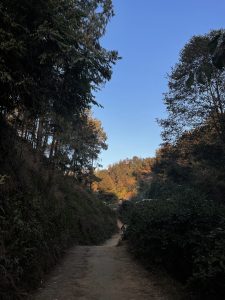 A beautiful path with hills around and light sun on top