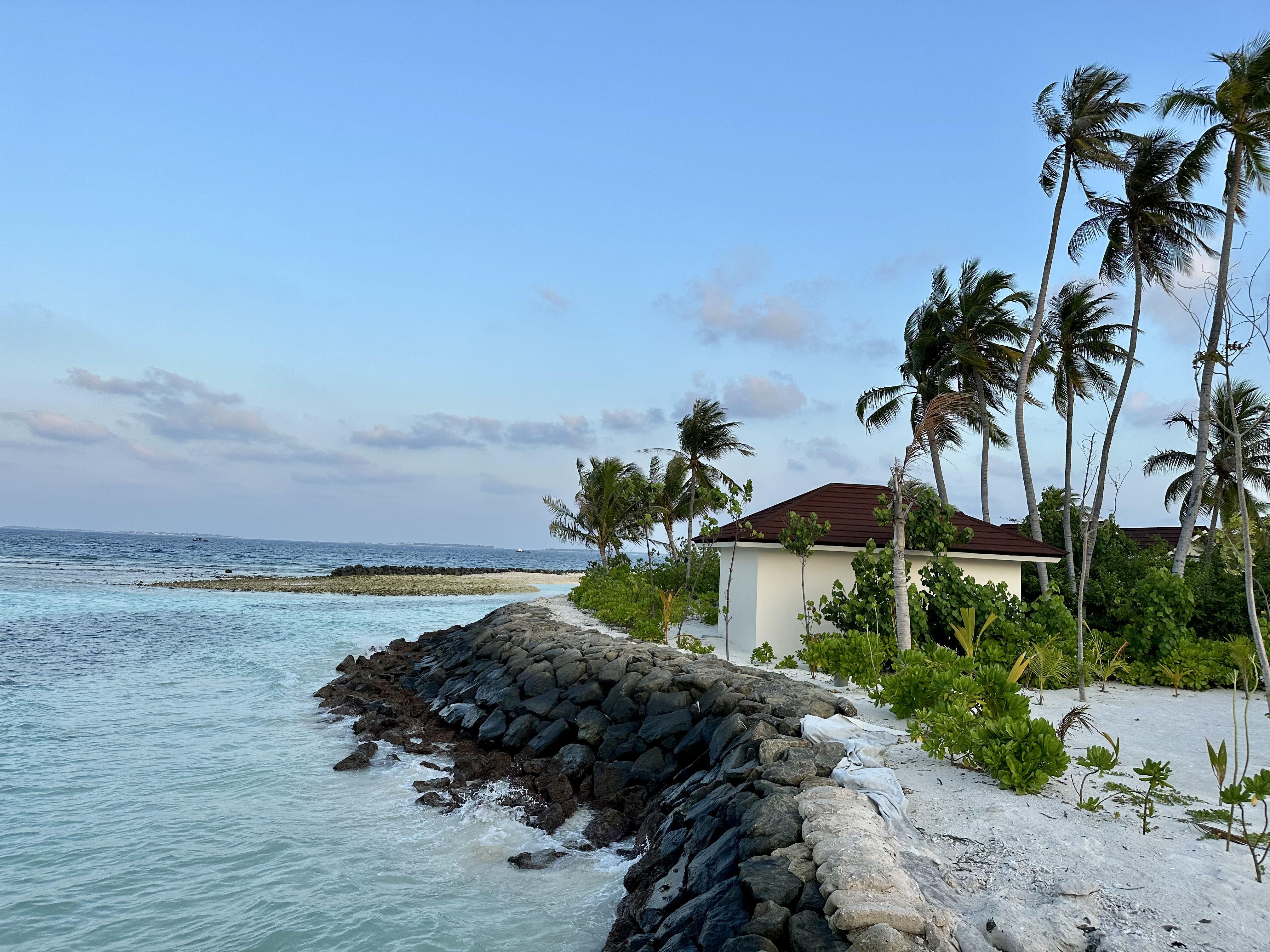 Coastal wind on palm trees by the sea shore with a small hut!