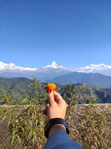 A hand holding a vibrant orange and red flower is positioned in front of a stunning mountain landscape.